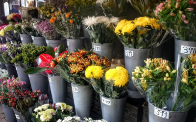 Floral Design Trends: What Are Consumers Looking for?